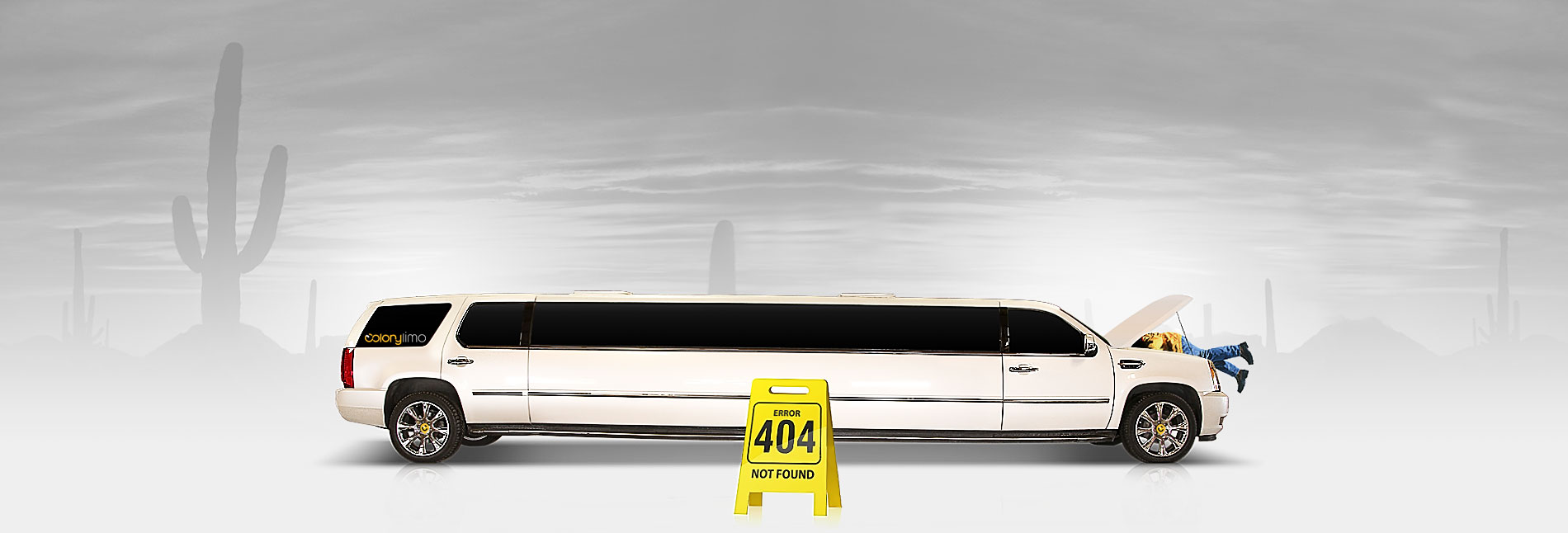 Colony Limo Service Houston